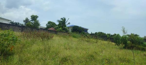Photo Annonce Gabonhome 
