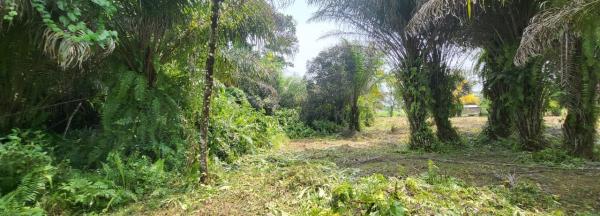 Photo Annonce Gabonhome 