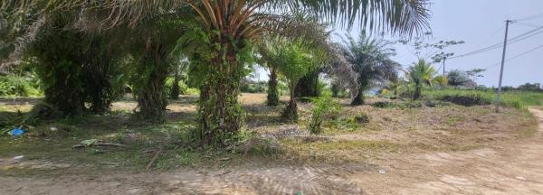 Photo Annonce Gabonhome 