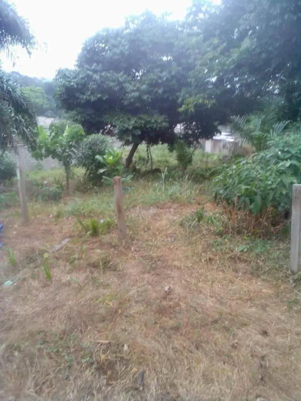 Photo Annonce Gabonhome 