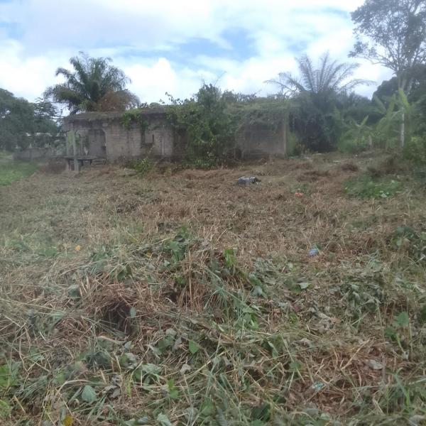 Photo Annonce Gabonhome 