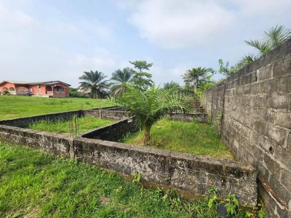 Photo Annonce Gabonhome 