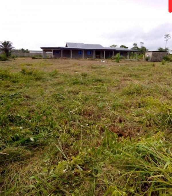Photo Annonce Gabonhome 