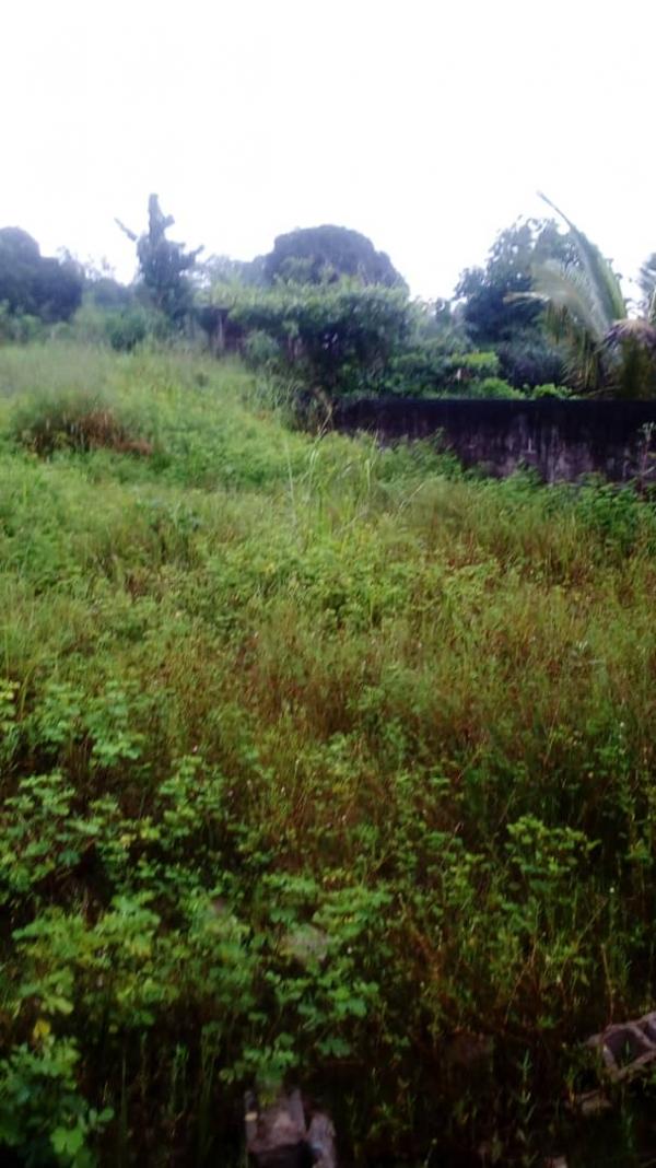 Photo Annonce Gabonhome 