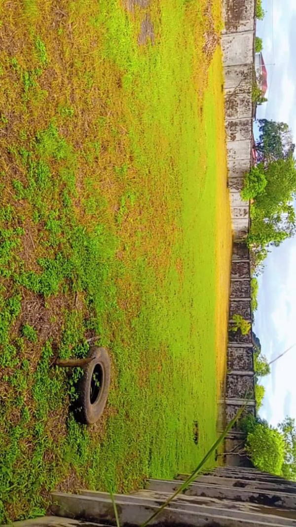 Photo Annonce Gabonhome 
