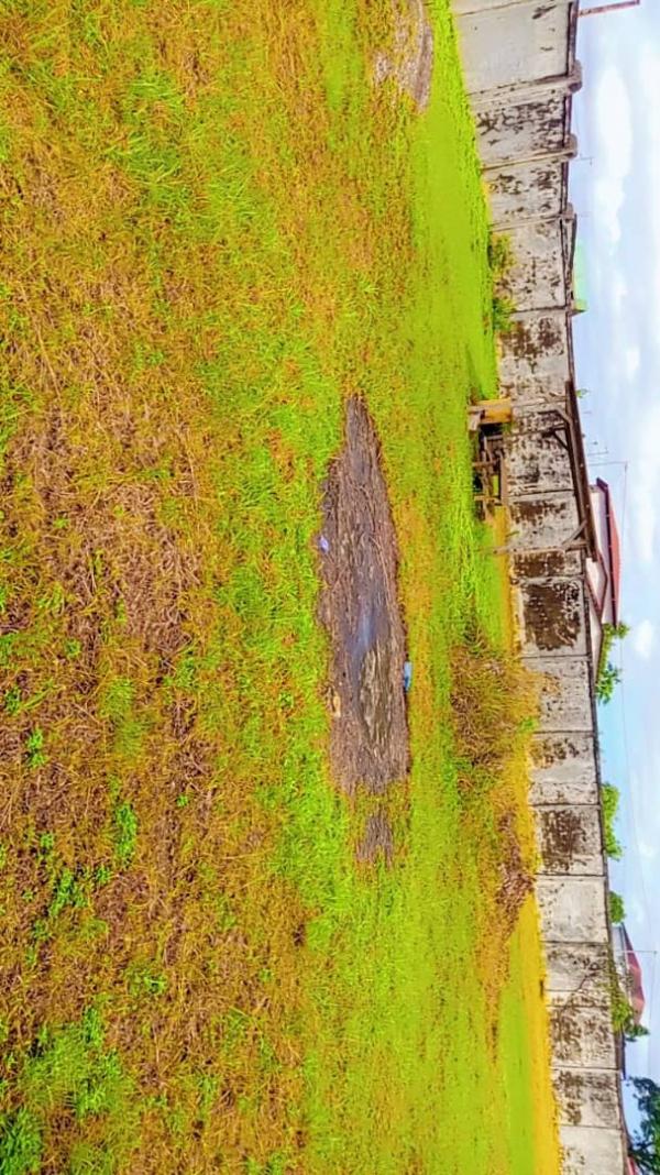 Photo Annonce Gabonhome 