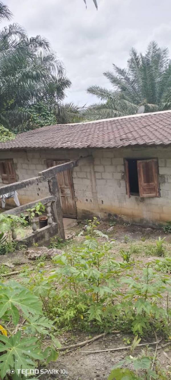 Photo Annonce Gabonhome 