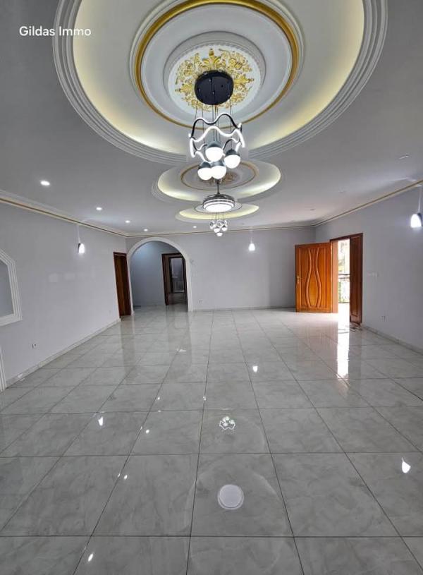 Photo Annonce Gabonhome 