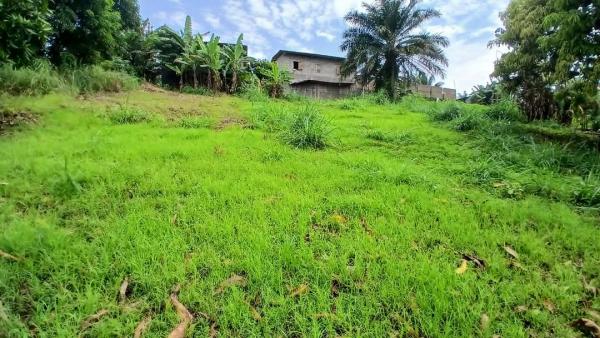 Photo Annonce Gabonhome 